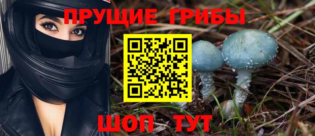 Псилоцибиновые грибы Cubensis  Вход с VPN  Псилоцибиновые грибы мухоморы  Гусиноозёрск 