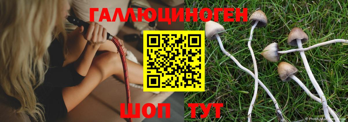 Галлюциногенные грибы мицелий Гусиноозёрск